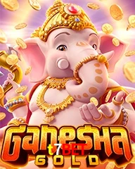 T7BET.COM